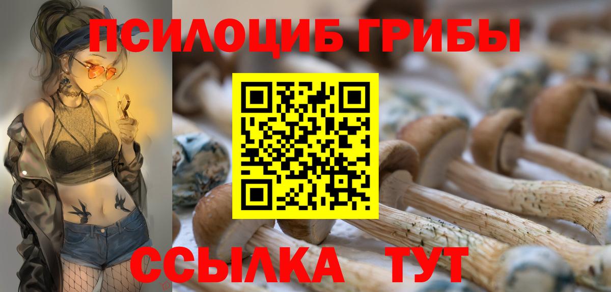 Псилоцибиновые грибы Psilocybe Можайск